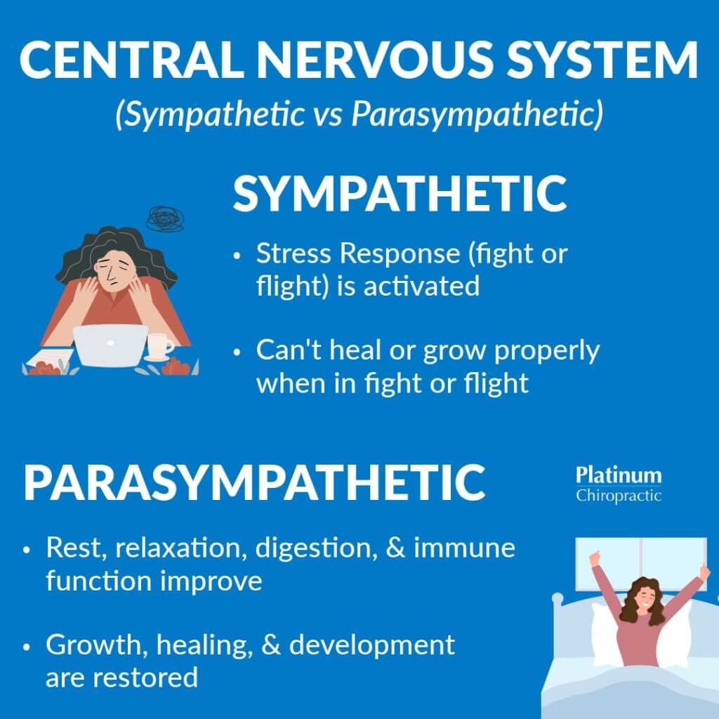 central nervous system health