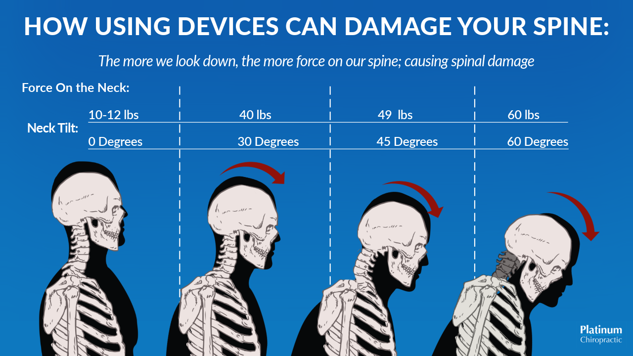 Nerve Function & Immune Health